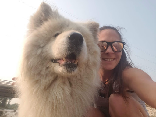 Bitter Root Vet Clinic PC image