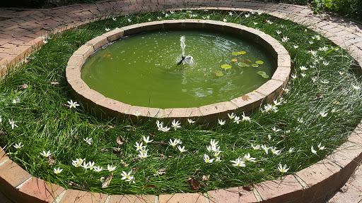 Garden «Wing Haven», reviews and photos, 248 Ridgewood Ave, Charlotte, NC 28209, USA