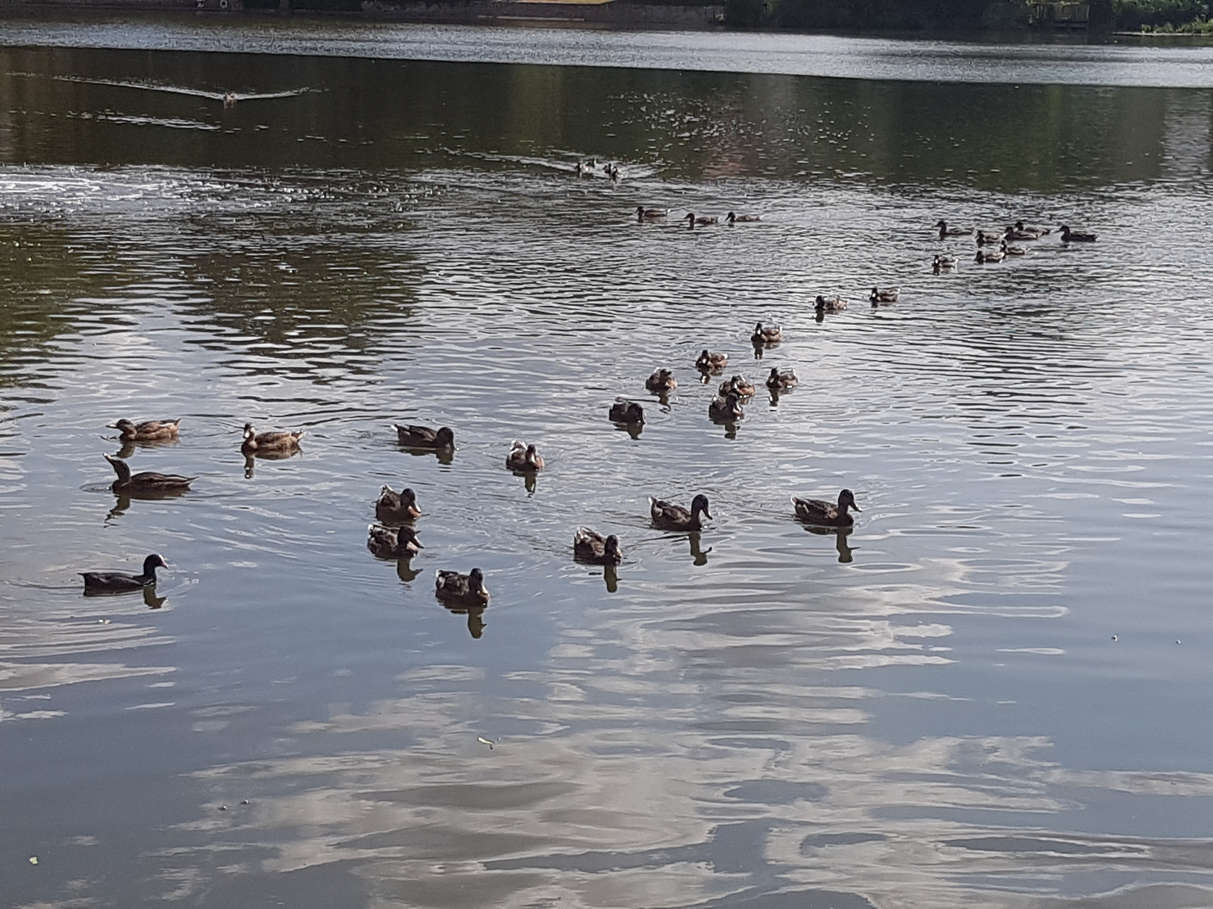 Photo n° 1 de l'avis de Deborah.i fait le 13/07/2019 à 18:31
