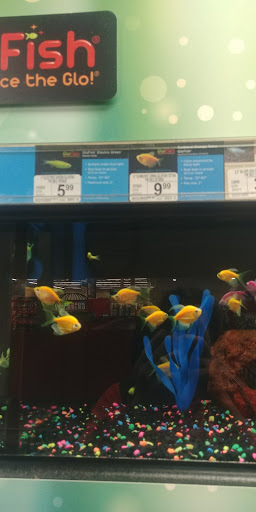 Pet Supply Store «Petco Animal Supplies», reviews and photos, 8775 SW Tualatin-Sherwood Rd, Tualatin, OR 97062, USA