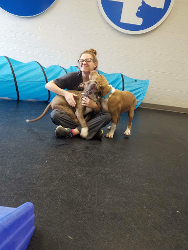 Flowood Pet Hospital and Resort image