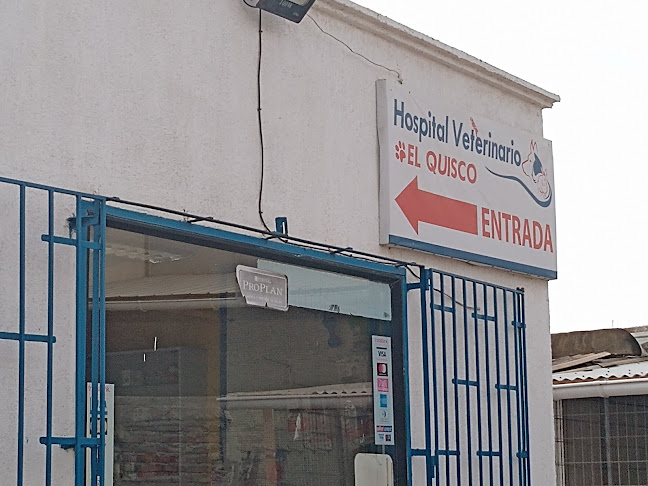 Veterinaria El Quisco - Veterinario