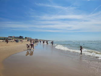 Strand Egmond aan Zee