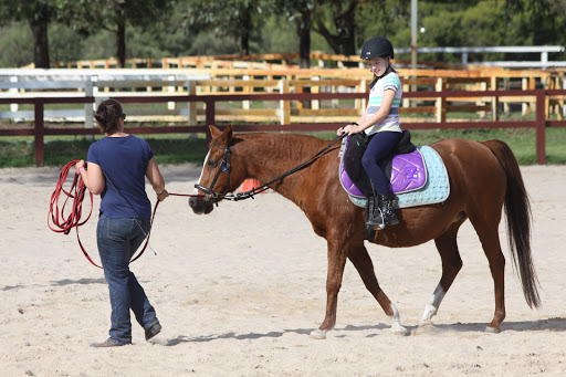 Perth Horse Riding Centre