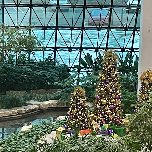 Divorce Lawyer «ADAM - American Divorce Association For Men», reviews and photos