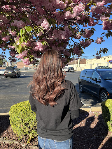 Hair Salon «Hair Culture», reviews and photos, 289 Division St, Edison, NJ 08817, USA