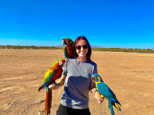 Bird Shop «Arizona Bird Store», reviews and photos, 565 S Dobson Rd, Mesa, AZ 85202, USA