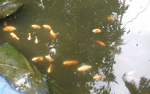 karthyayani aqua fish farm image