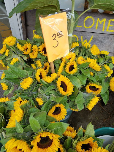 Garden Center «Repetto Florist and Nursery», reviews and photos, 12331 San Mateo Rd, Half Moon Bay, CA 94019, USA