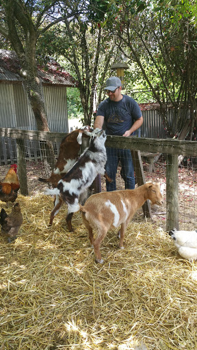 Gift Shop «Rose & Thorn», reviews and photos, 10050 Bodega Hwy, Sebastopol, CA 95472, USA