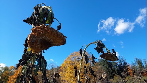 Historical Place «Marsh-Billings-Rockefeller National Historical Park», reviews and photos, 54 Elm St, Woodstock, VT 05091, USA