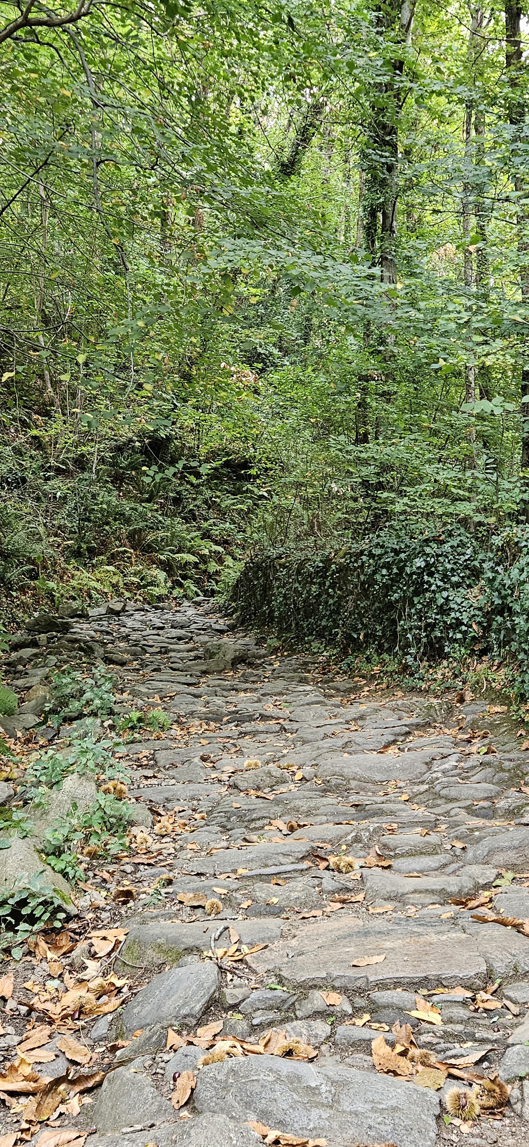 Photo n° 14 de l'avis de georges.o fait le 28/10/2023 à 17:26