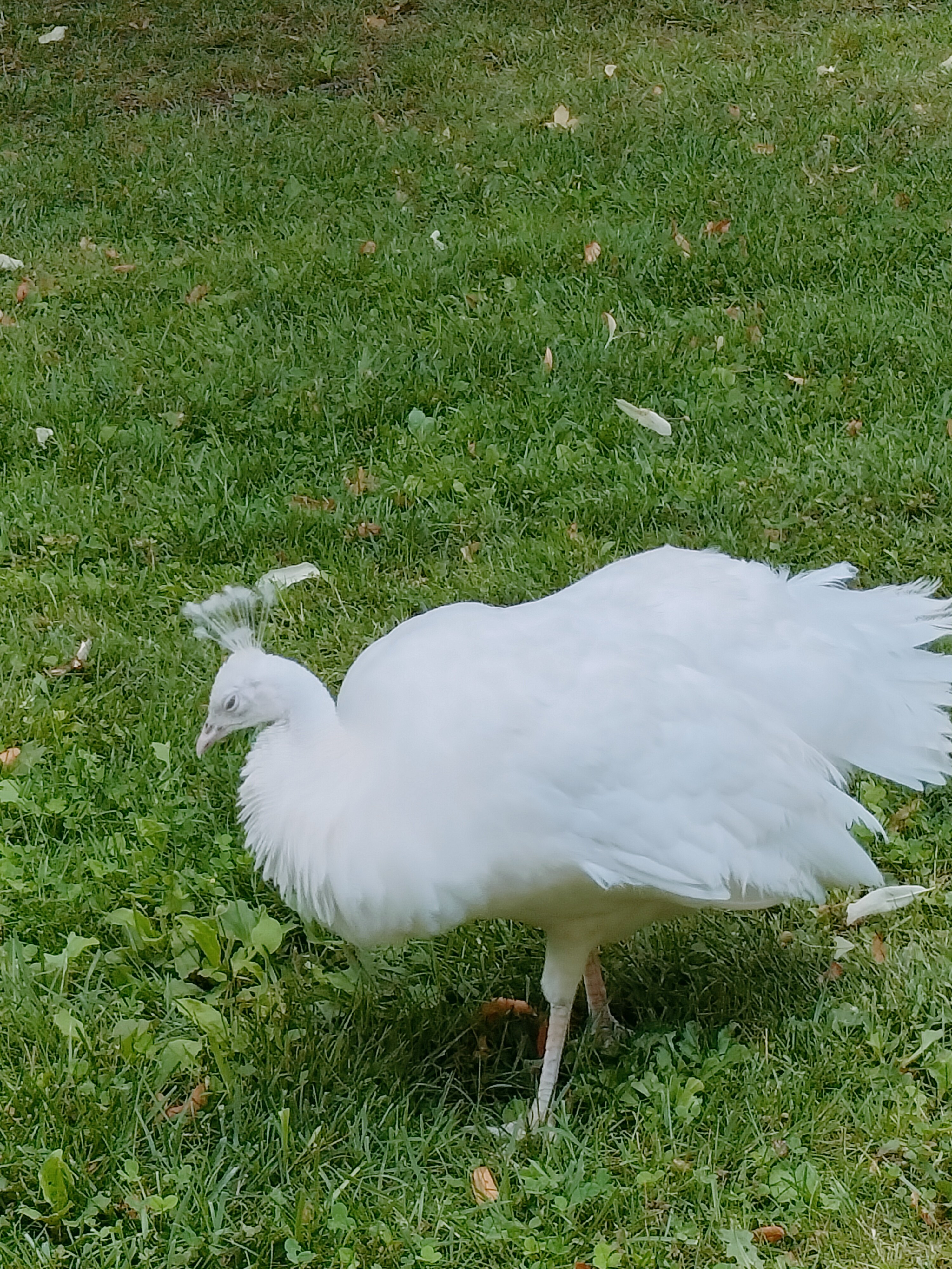 Photo n° 6 de l'avis de Alicia.� fait le 04/08/2023 à 17:36