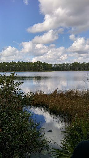 National Forest «Ocala National Forest», reviews and photos, 40929 FL-19, Umatilla, FL 32784, USA