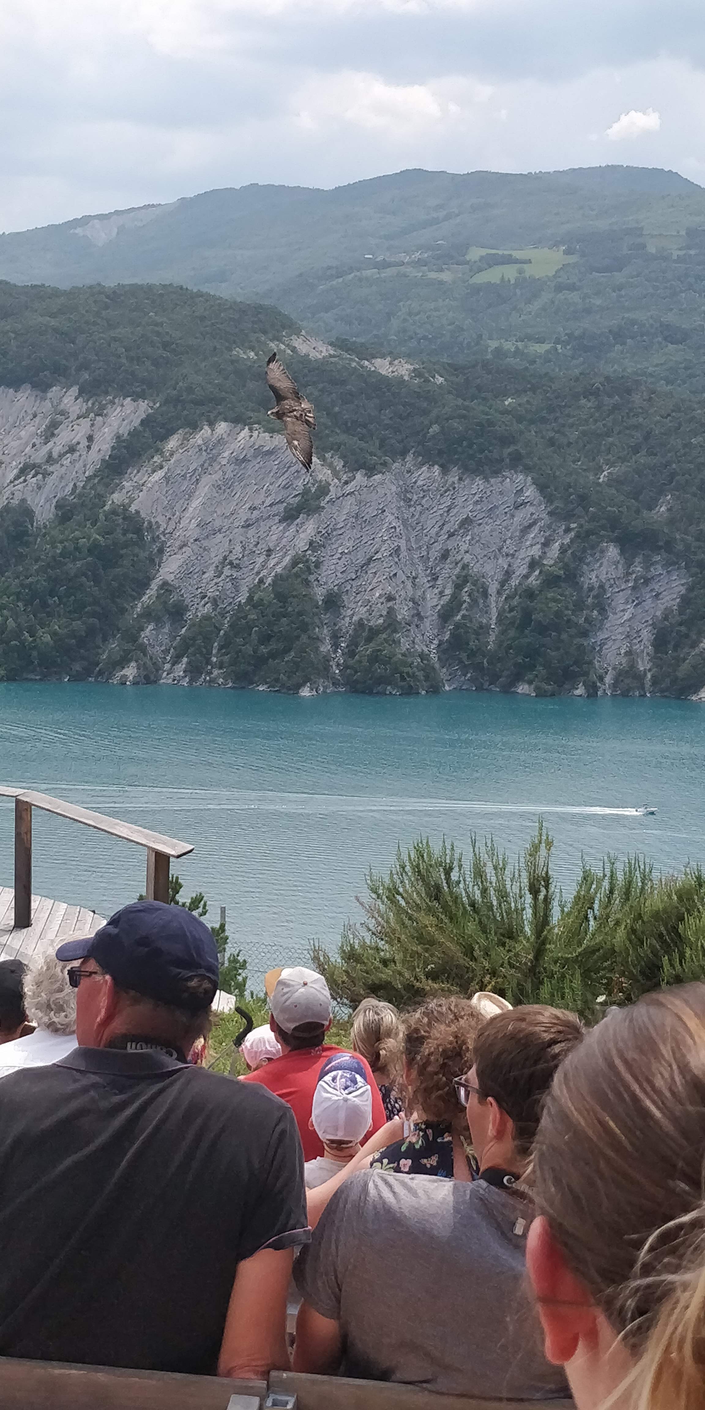 Photo n° 11 de l'avis de Sylvain.e fait le 02/08/2018 à 06:25