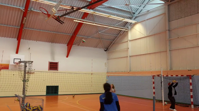 VOLLEY CLUB HÉROUVILLE - Caen