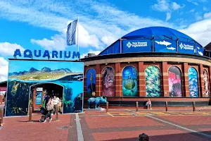 Aquarium Gift Shop image
