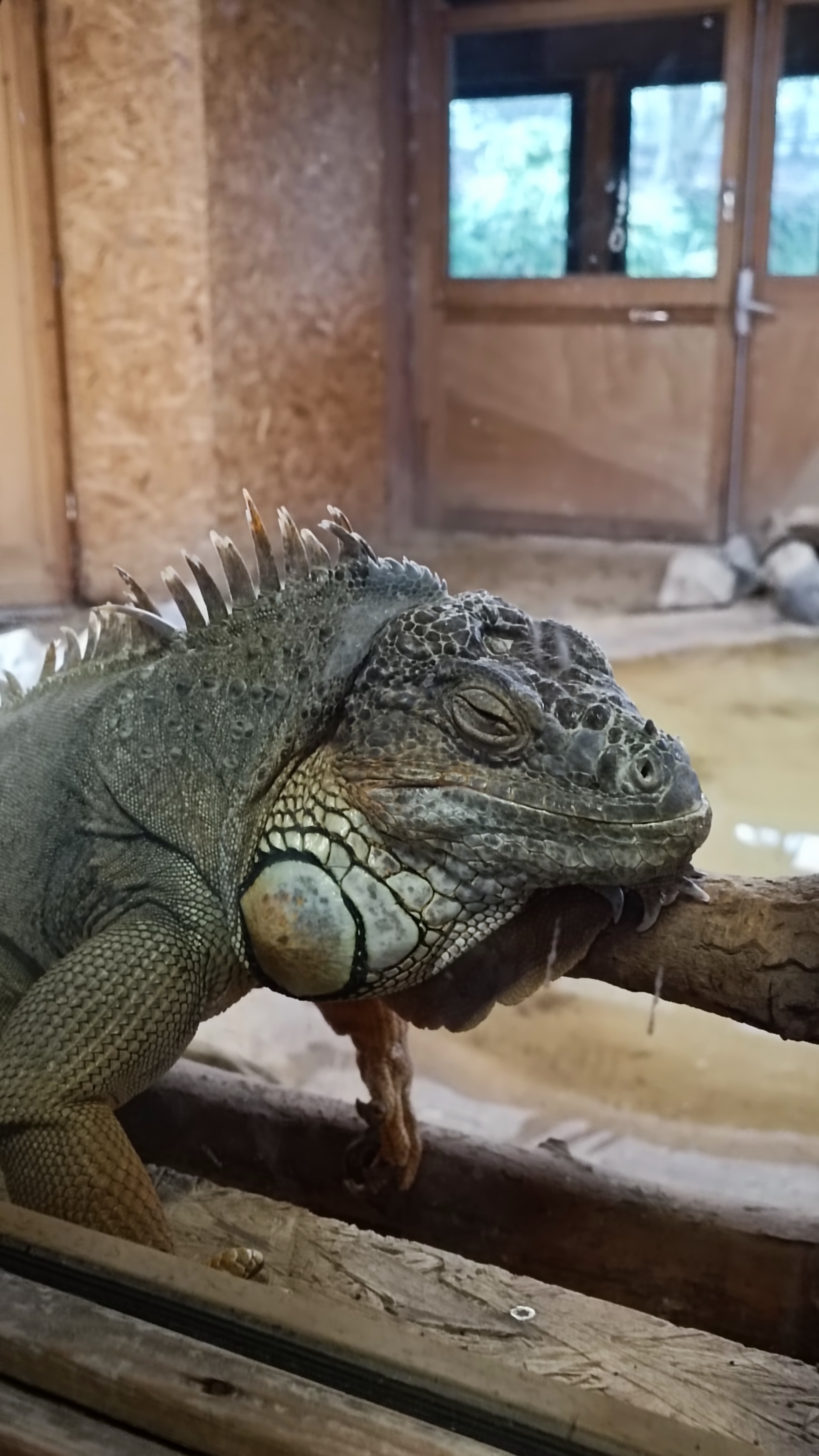 Photo n° 8 de l'avis de Mike.O fait le 25/02/2023 à 09:51