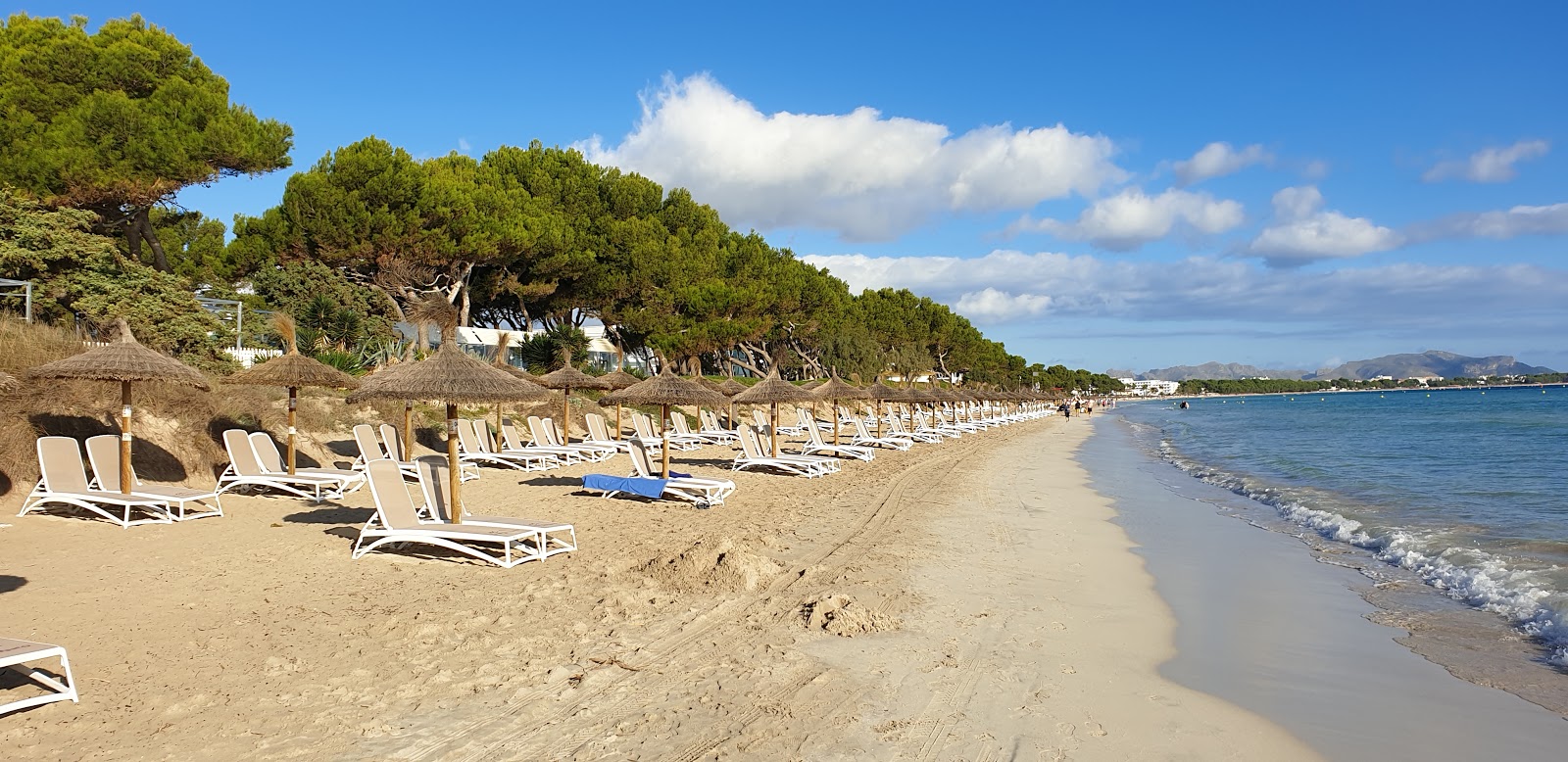 Alcudia Beach 2'in fotoğrafı ve yerleşim