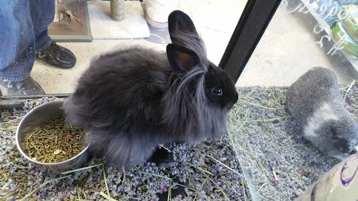 Pet Supply Store «The Grooming Place Pet Shop», reviews and photos, 1713 Main St, Chester, MD 21619, USA