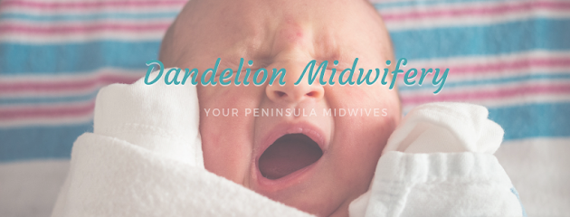 Dandelion Midwifery