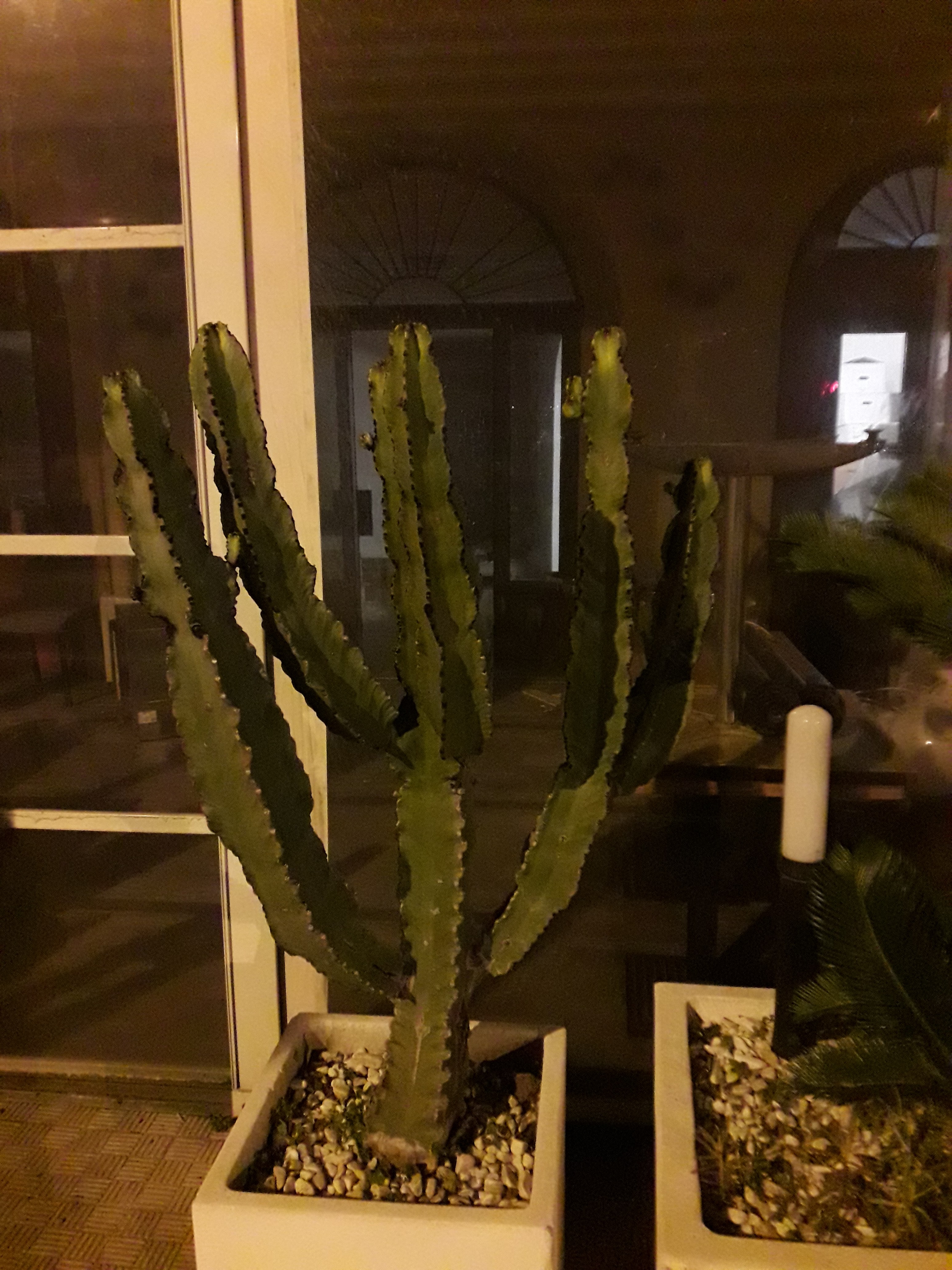 Photo n° 19 de l'avis de Stefe. fait le 25/02/2018 à 00:05