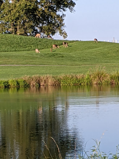 Public Golf Course «Clustered Spires Golf Club», reviews and photos, 8415 Gas House Pike, Frederick, MD 21701, USA