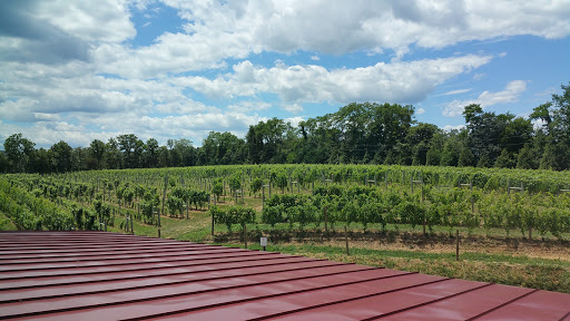 Vineyard «Muse Vineyards», reviews and photos, 16 Serendipity Ln, Woodstock, VA 22664, USA