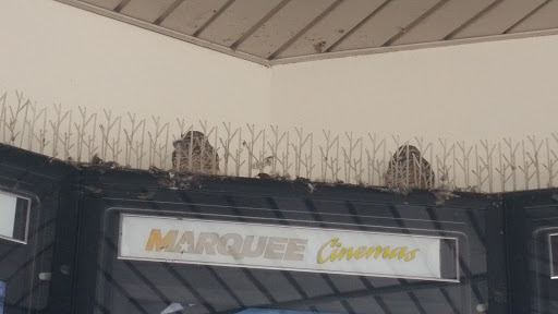 Movie Theater «Marquee Cinemas - Coralwood 10», reviews and photos, 2301 Del Prado Blvd, Cape Coral, FL 33990, USA