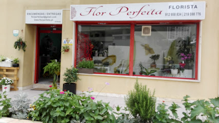 Flor Perfeita Florista