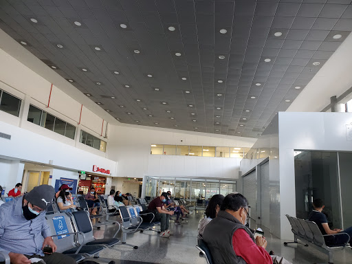 Aeropuerto Internacional Palonegro