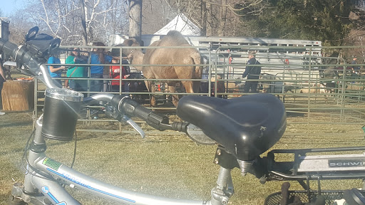 Park «Clay Township Park Pavillion», reviews and photos, 4768 Pointe Tremble Rd, Algonac, MI 48001, USA