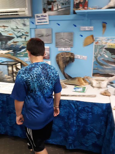 Aquarium «Explore the Ocean World, llc Oceanarium», reviews and photos, 367 Ocean Blvd, Hampton, NH 03842, USA