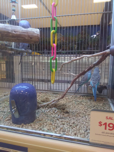 Pet Supply Store «PetSmart», reviews and photos, 5013 S Cleveland Ave, Fort Myers, FL 33907, USA