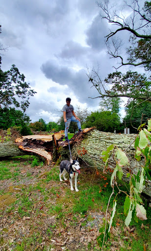 Golf Course «Charleston Springs Golf Course», reviews and photos, 101 Woodville Rd, Millstone, NJ 08510, USA
