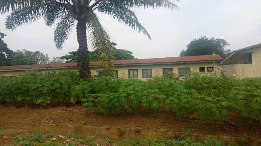 Ministry of Agric and Natural Resources, Sango Rd, Ilorin, Nigeria, Department Store, state Kwara