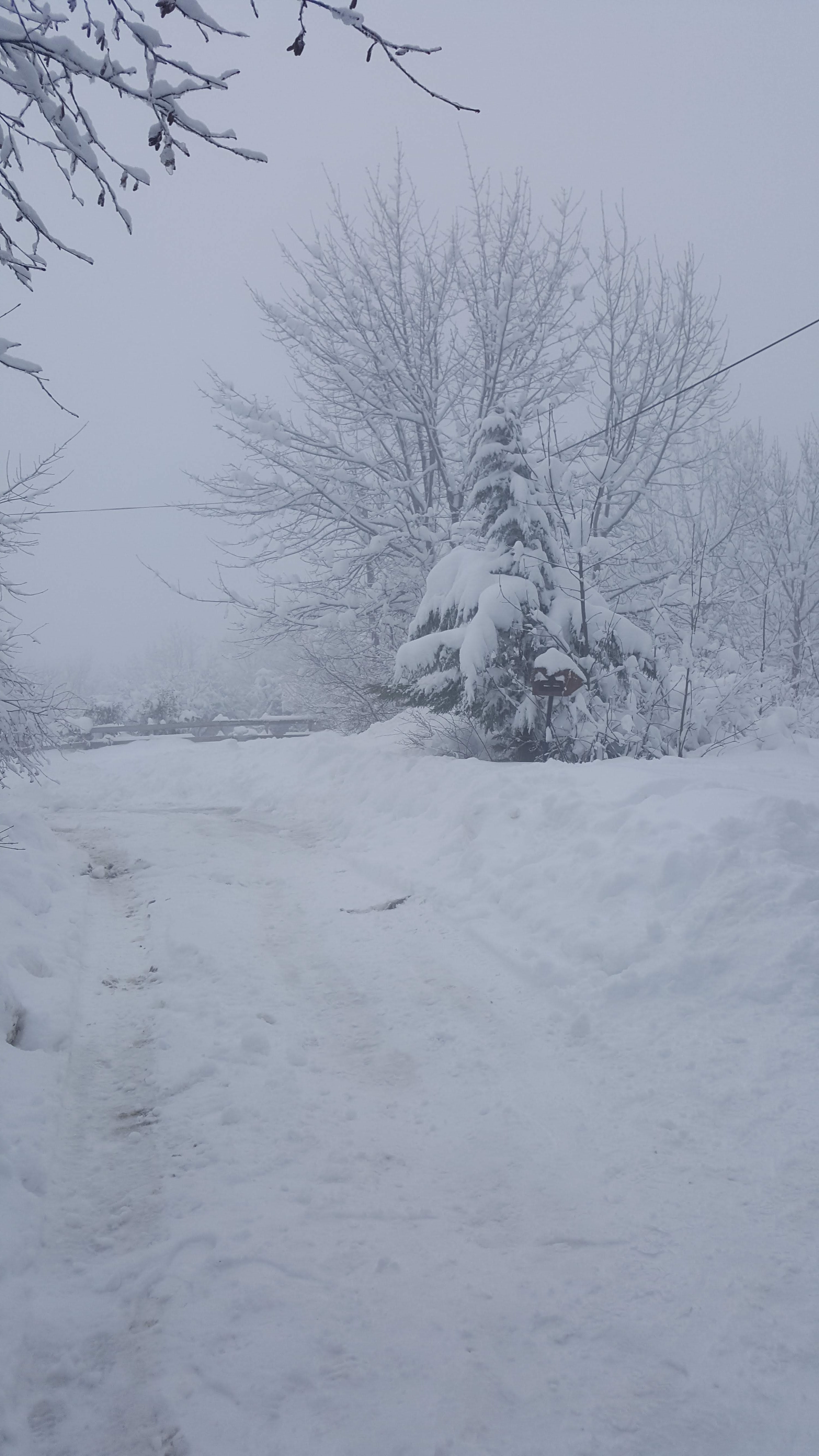 Photo n° 4 de l'avis de Krypton. fait le 03/02/2019 à 21:44