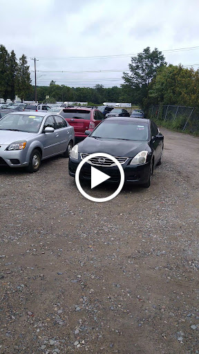 Charity «Helping Hands of America», reviews and photos