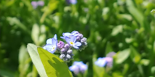 Golf Club «Echo Falls Golf Club», reviews and photos, 20414 121st Ave SE, Snohomish, WA 98296, USA