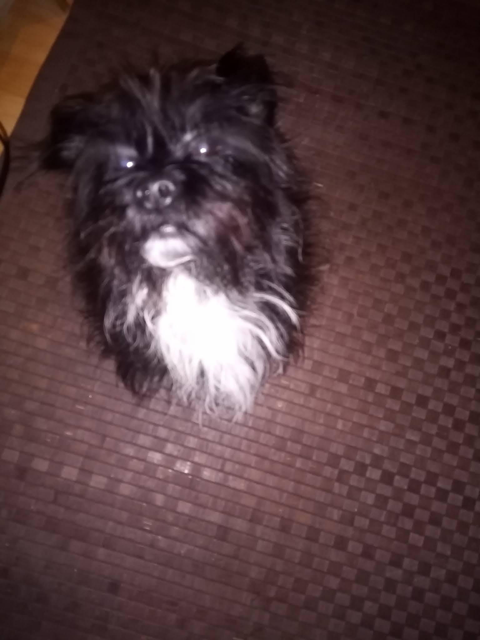Photo n° 1 de l'avis de AZERTY.W fait le 29/12/2020 à 23:01