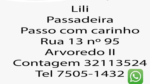 Logo da empresa - Lili Passadeira