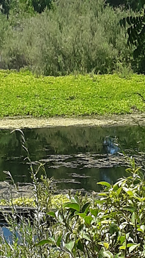 Scottys Landing image