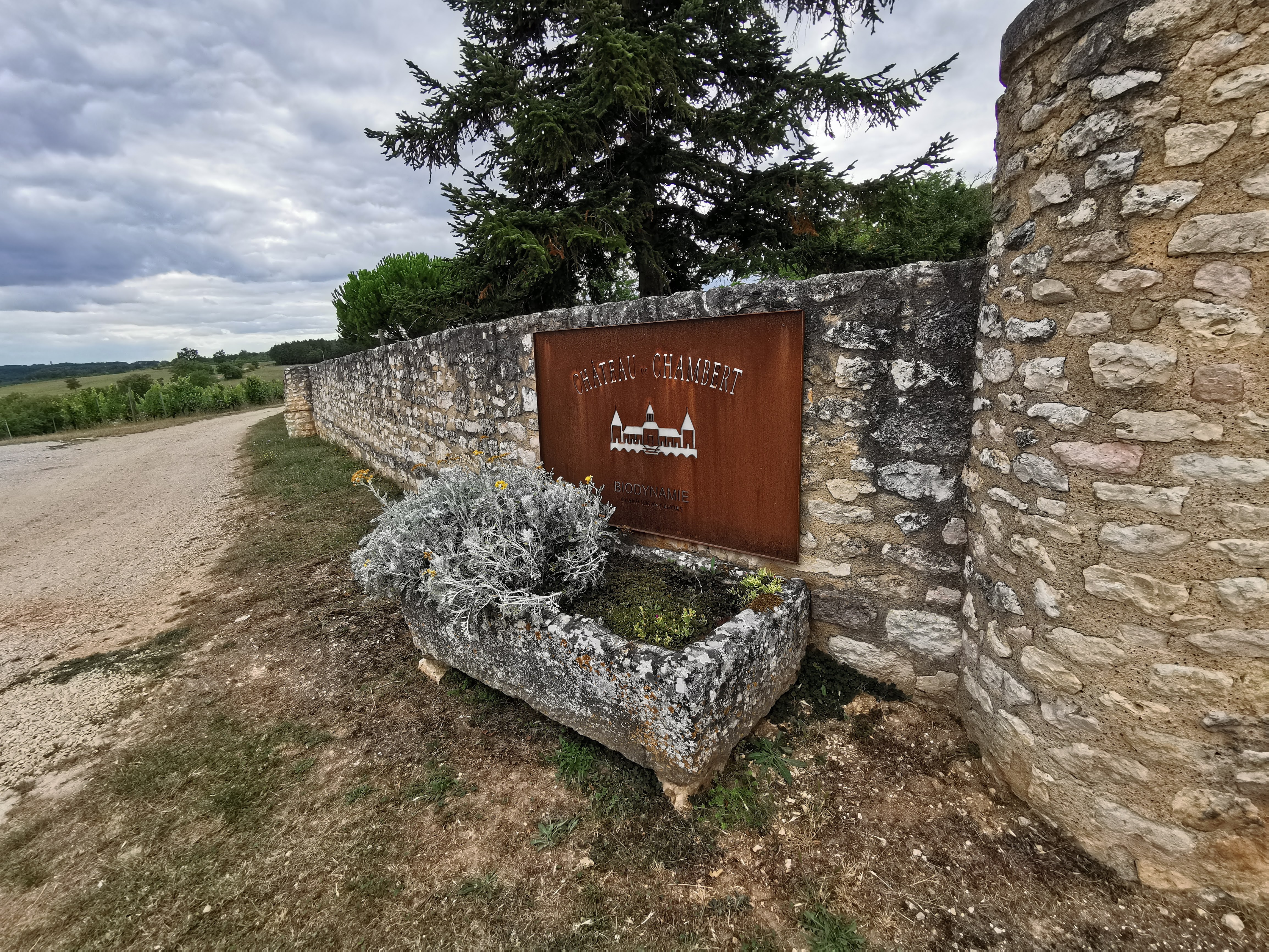 Photo n° 1 de l'avis de David.o fait le 16/07/2020 à 06:14