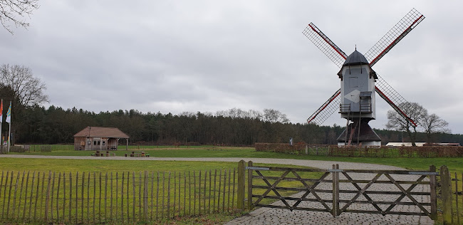 3920 Lommel, België