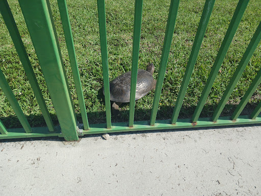 Park «McDonald Park», reviews and photos, 7505 W 12th Ave, Hialeah, FL 33014, USA