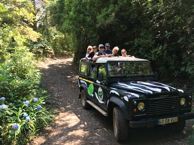 Avaliações doSafari Madeira em Funchal - Agência de viagens