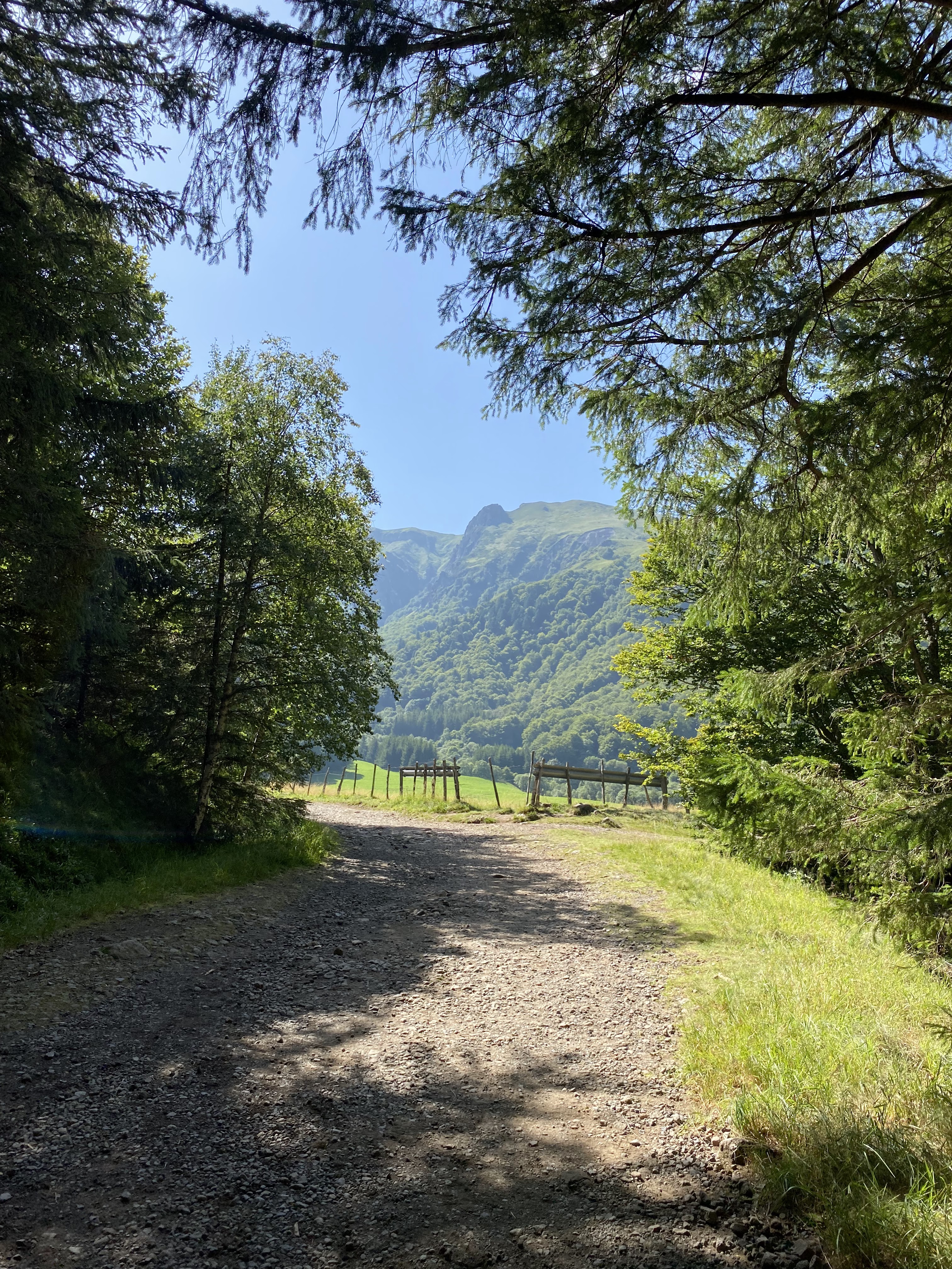 Photo n° 16 de l'avis de Michel.o fait le 17/08/2021 à 16:52