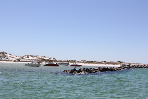 Tourist Attraction «Shell Island Beach», reviews and photos, 4607 State Park Ln, Panama City, FL 32408, USA