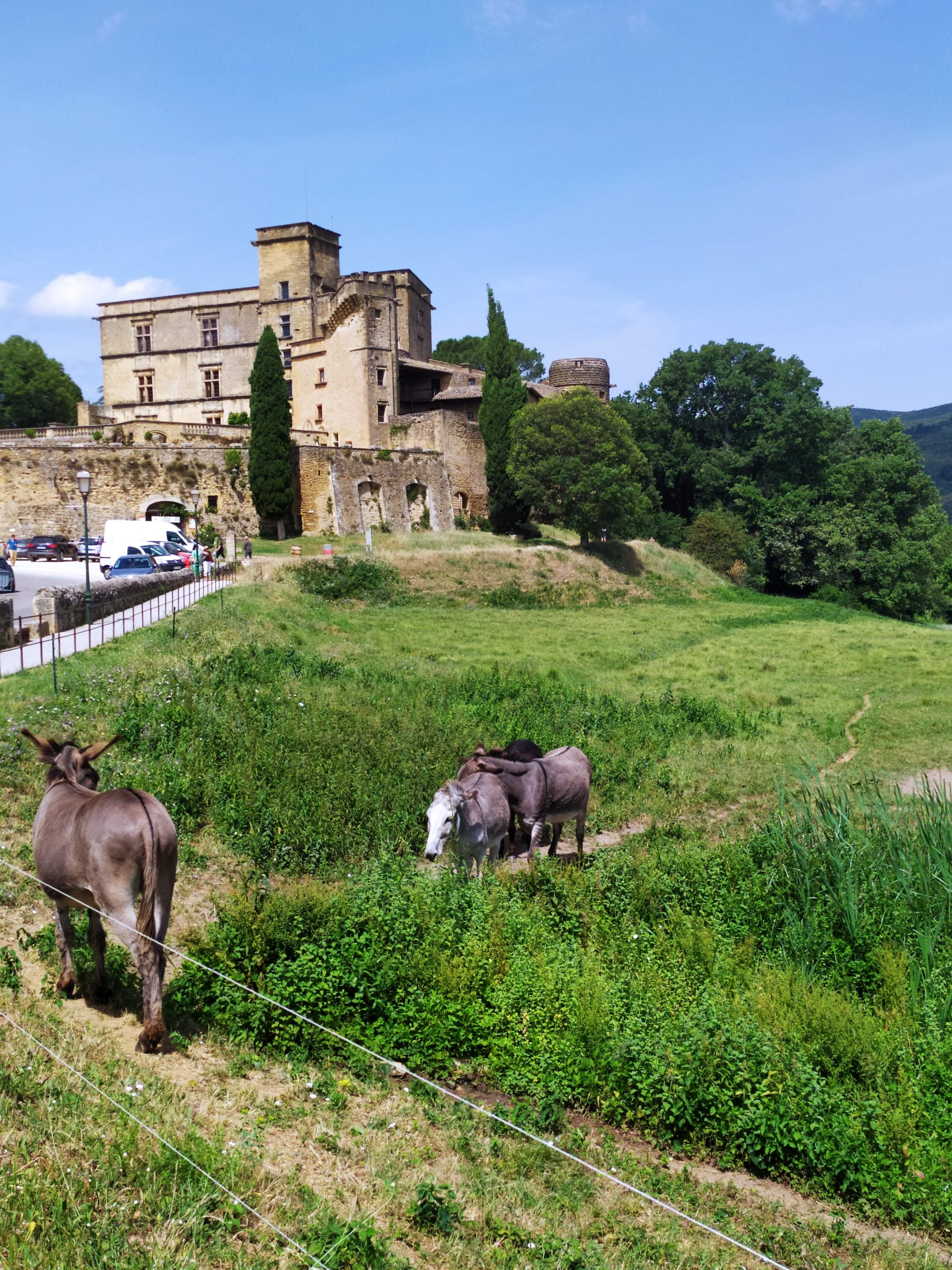 Photo n° 3 de l'avis de Patrick.a fait le 20/06/2021 à 17:10