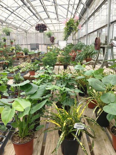 Florist «The Garden», reviews and photos, 155 Main St N, Woodbury, CT 06798, USA